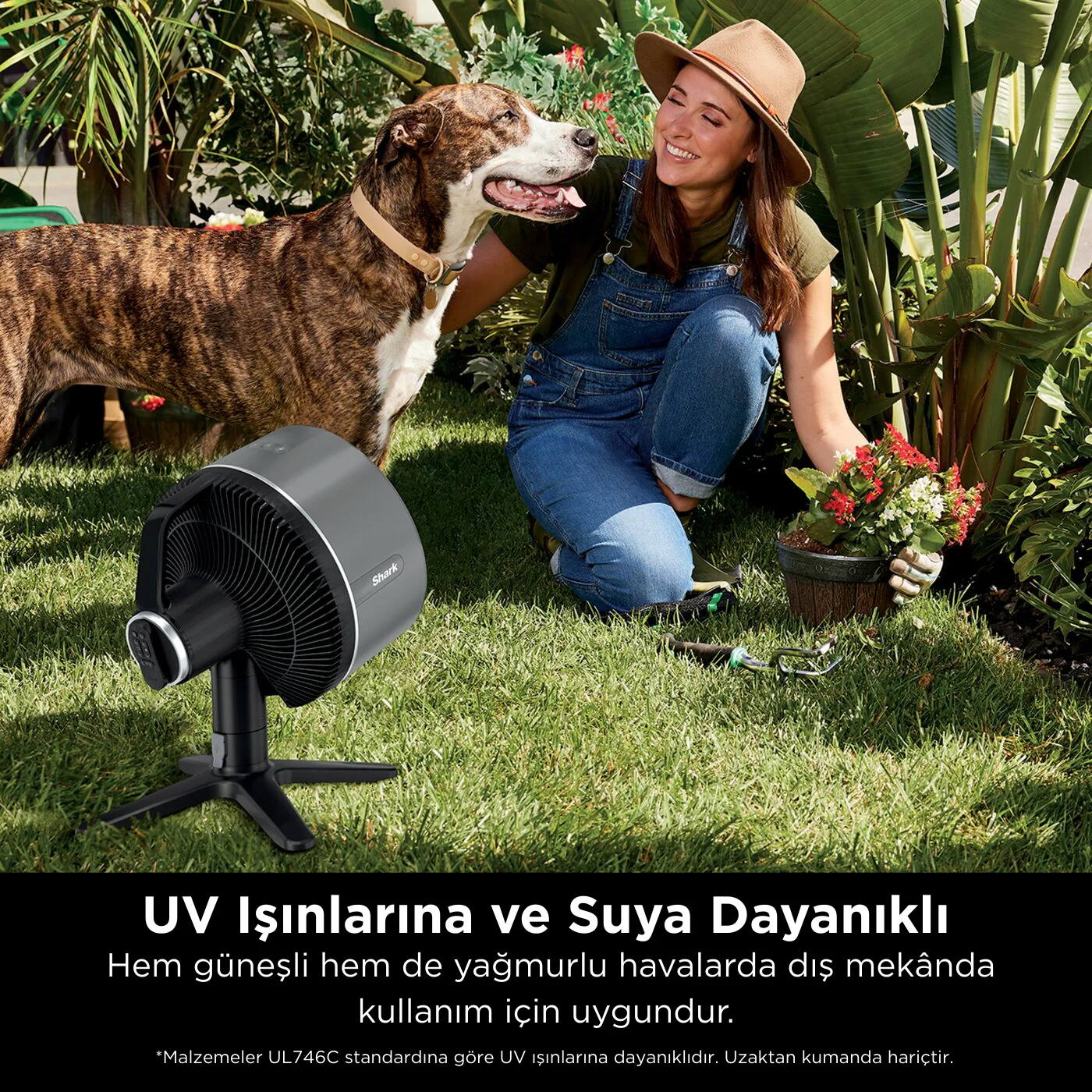 Shark FlexBreeze TableMate Masa Üstü Fan - Image 4