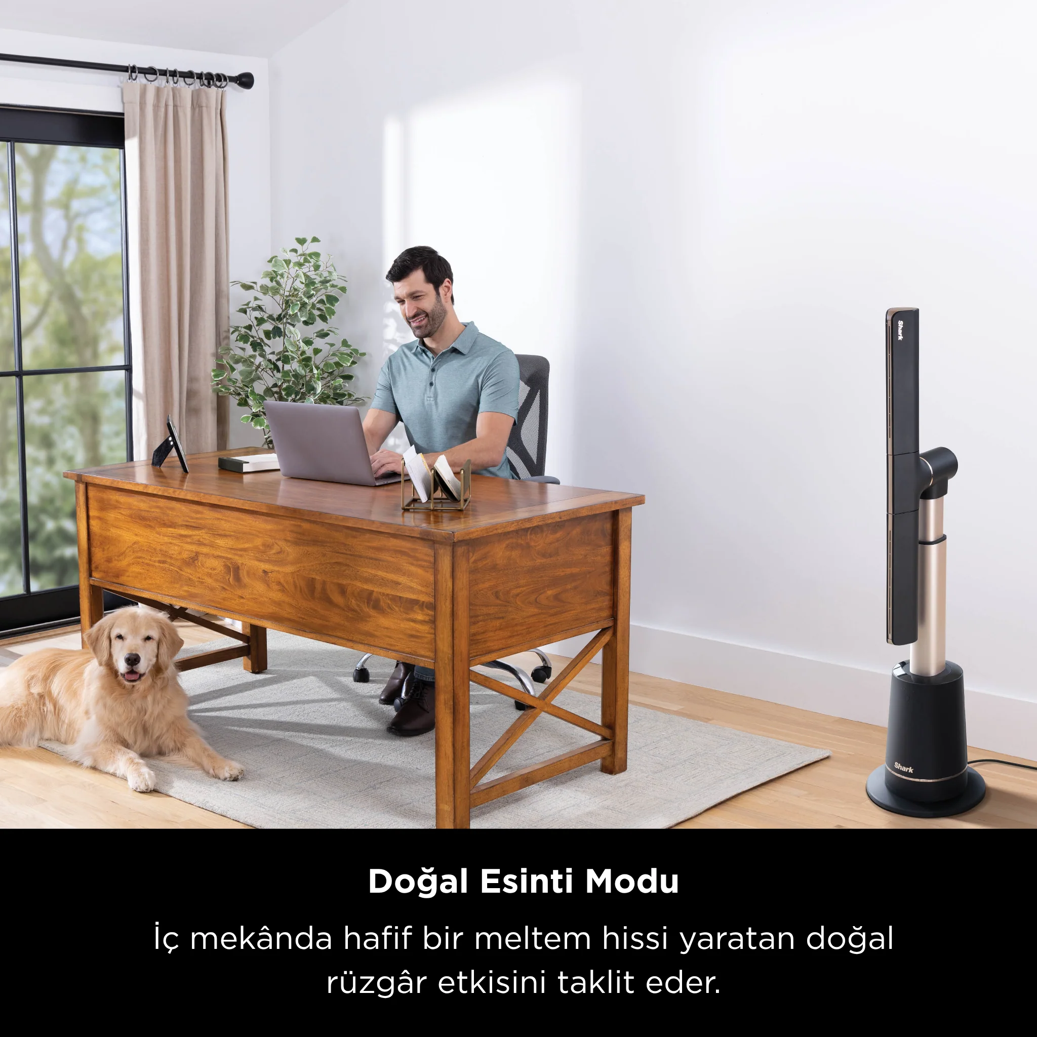 Shark TurboBlade Çok Yönlü Yüksek Hızlı Serinletici Fan– Gri - Image 7